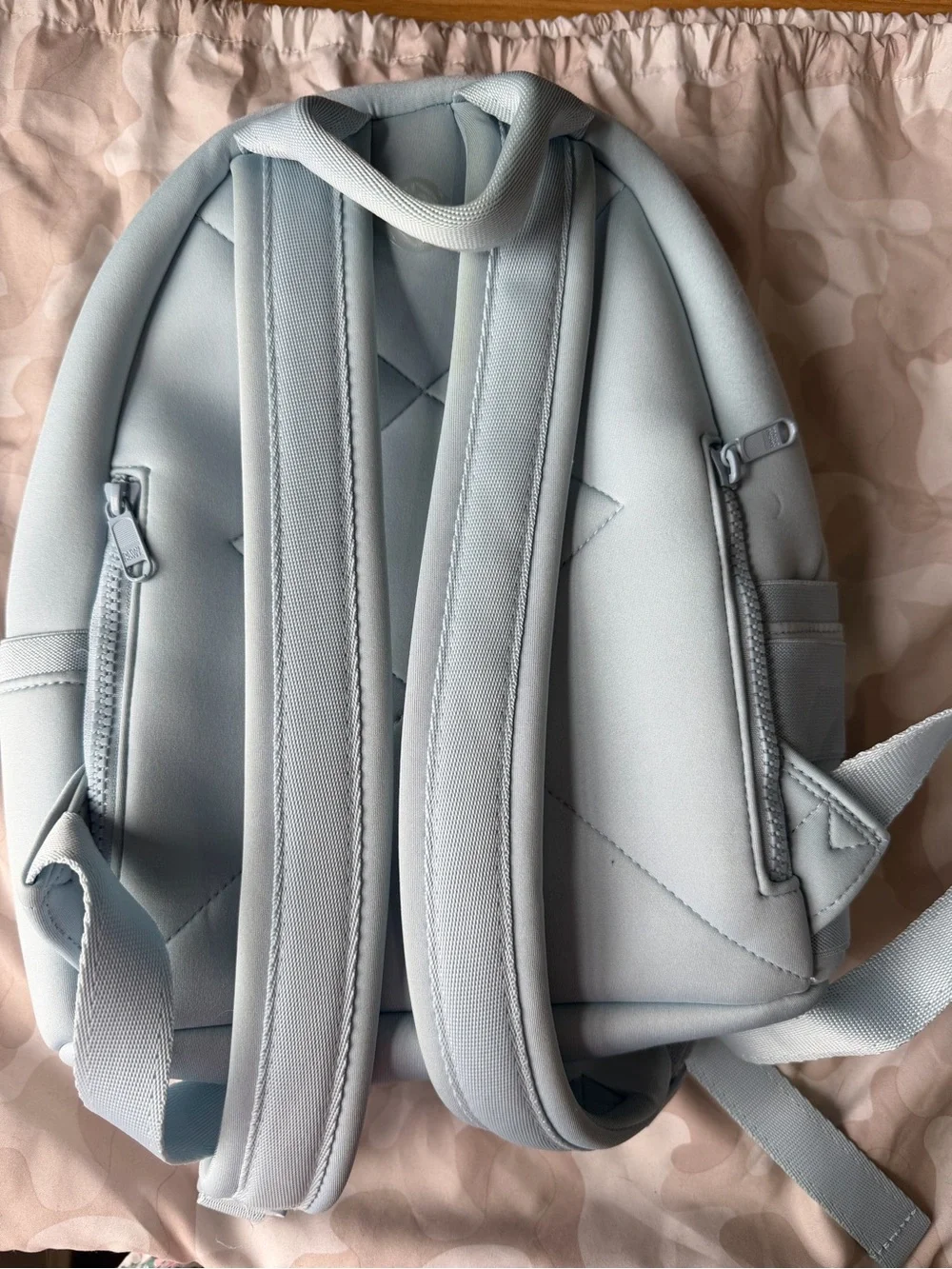 Dagne Dover Dakota Backpack in Size Small (Limited Edition Color: Daylight)